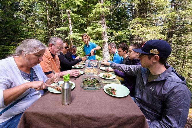 Best of Mount Rainier National Park From Seattle: All-Inclusive Small-Group Tour - Tour Size and Accessibility