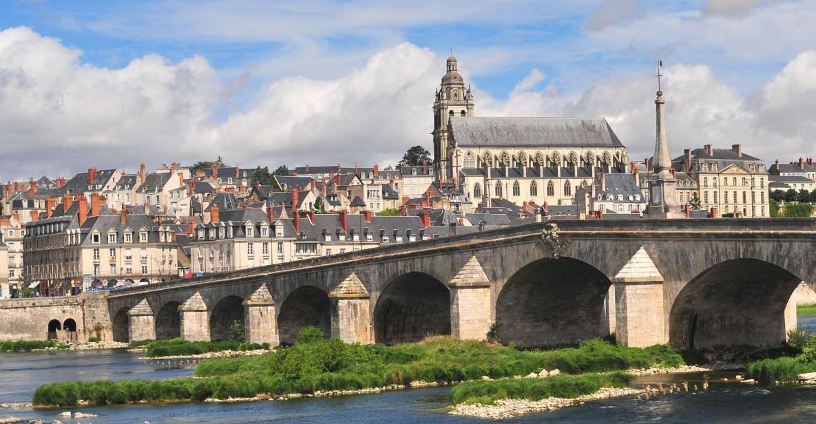 Blois: Private Tour of Blois Castle With Entry Tickets - About the Tour
