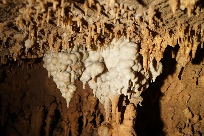 Cave Without a Name Admission Ticket With Guided Cavern Tour - Visitor Reviews and Ratings