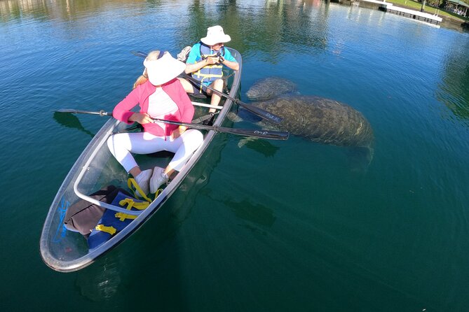 Clear Kayak Manatee Ecotour of Crystal River - Tour Requirements and Inclusions