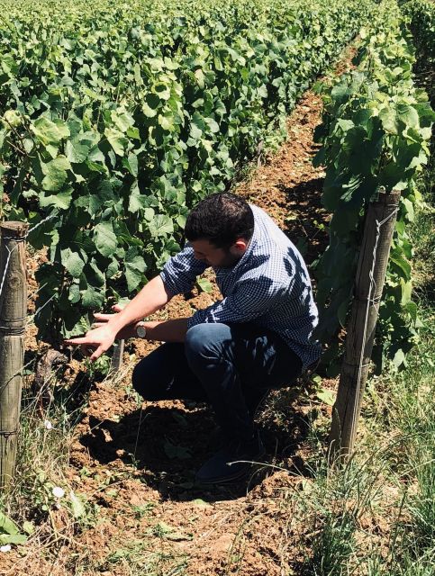 Côte De Beaune and Côte De Nuits: Private Full Day Wine Tour - Frequently Asked Questions