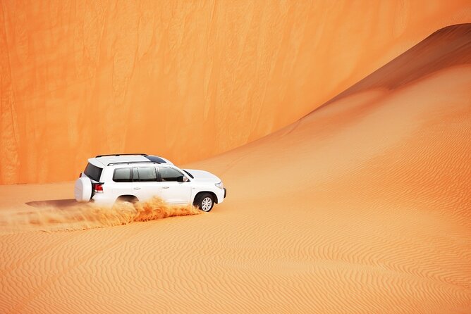 Desert Safari Abu Dhabi W/ Sand Boarding, Camel Ride & BBQ Dinner - Savory BBQ Dinner