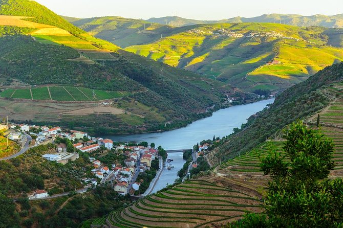 Douro Valley Tour: Wine Tasting, Cruise and Lunch From Porto - Winery Visits and Wine Tasting