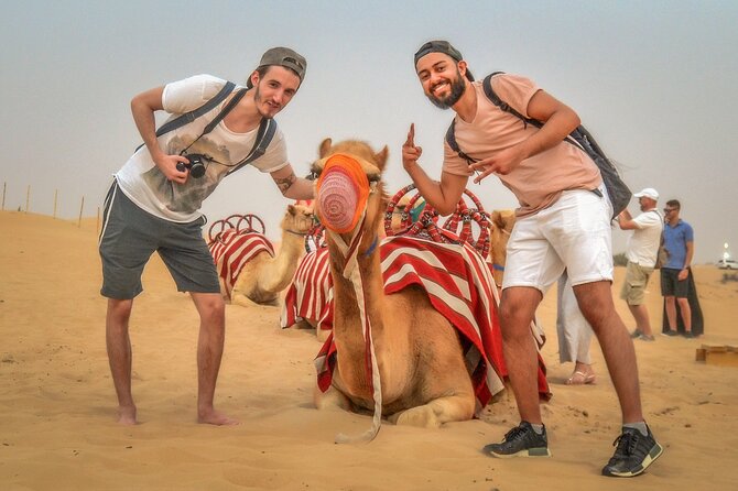 Dubai 4x4 Desert Safari, Quad Bike, Camel Ride & BBQ Dinner - Reviews and Ratings