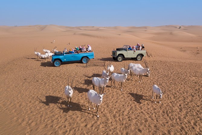 Dubai Heritage Land Rover Desert Safari With Traditional Dinner - Enjoy Dinner and Entertainment