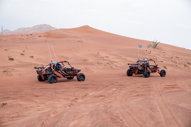 Dune Buggy Experience & Fossil Discovery in Mleiha National Park - Nature Walk in Mleiha