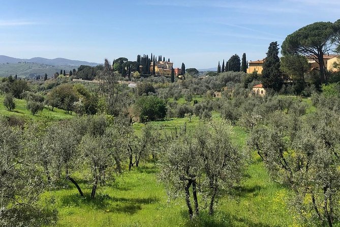 E-Bike Florence Tuscany Self-Guided Ride With Vineyard Visit - Exploring Florentine Hills and Fiesole