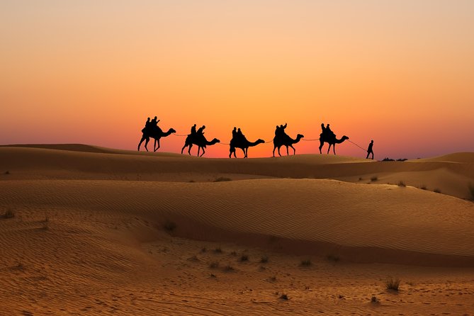 Evening Desert Safari in Dubai, Sandboard & BBQ Dinner - Comfortable Transportation Provided