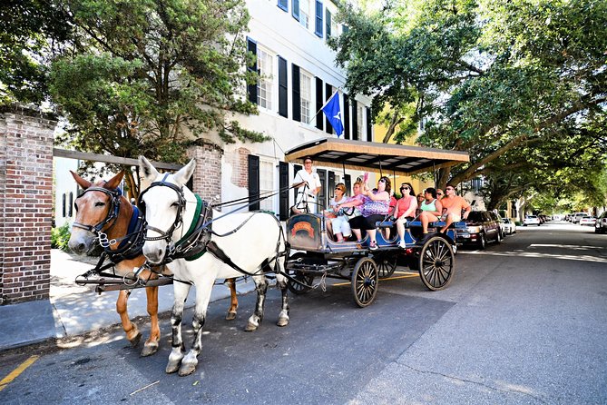 Evening Horse-Drawn Carriage Tour of Downtown Charleston - Weather Considerations