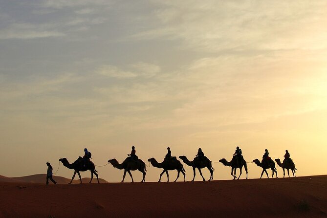 Fez to Marrakech via Merzouga Desert - 3 Day Desert Tour - Tour Confirmation and Accessibility