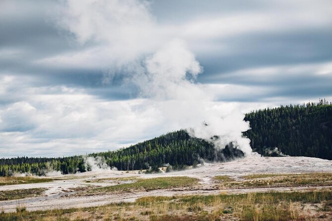 From Jackson Hole: Yellowstone Old Faithful, Waterfalls and Wildlife Day Tour - Bears, Wolves, Moose, Elk, and Bison