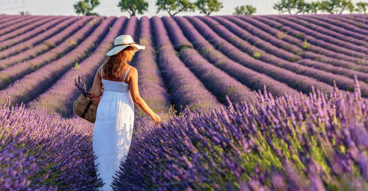 From Nice: Full-Day Provence and Lavender Tour - Pricing and Booking Details