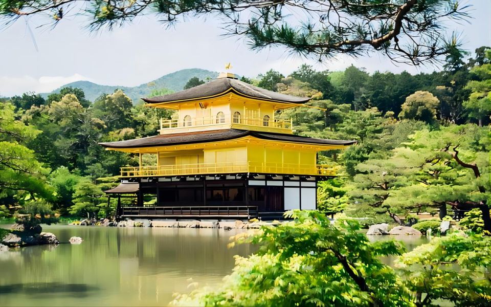From Osaka: 10-hour Private Custom Tour to Kyoto - Additional Notes