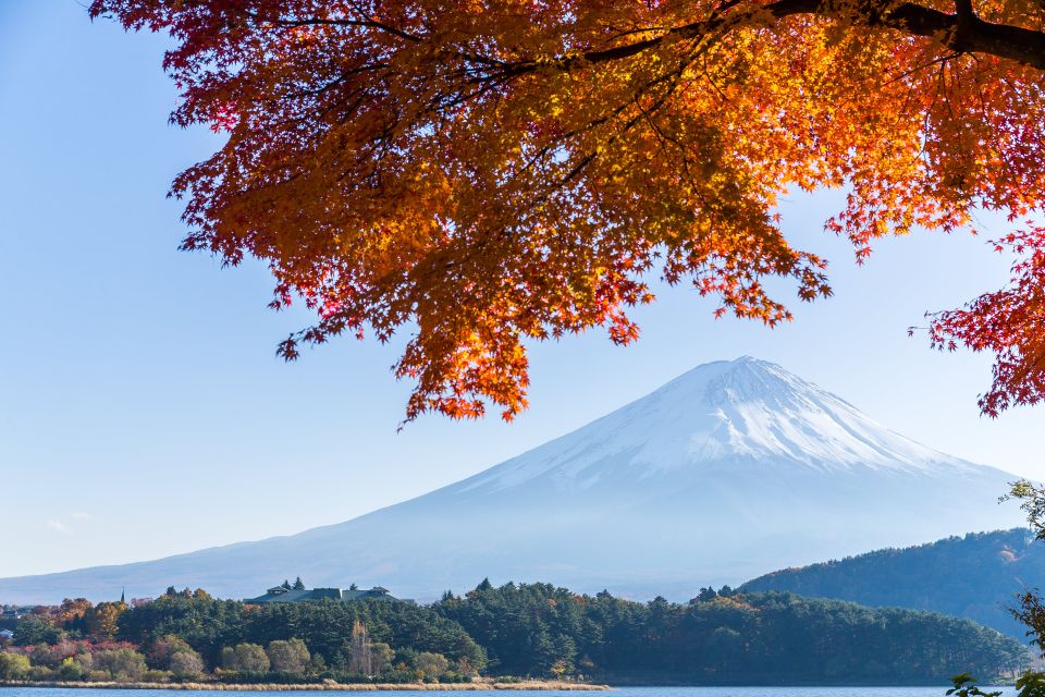 From Tokyo: Mt. Fuji or Hakone Private Sightseeing Day Trip - Scenic Hakone Ropeway and Lake Ashi
