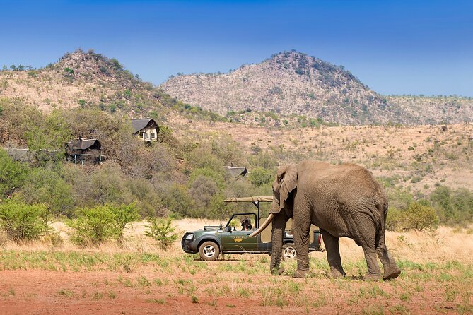 Full Day Pilanesberg Experience in Open Vehicle - Cancellation and Refund Policy
