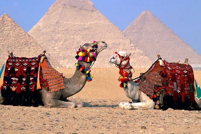 Giza Pyramids, Sphinx, Memphis, Saqqara, With Private Tour Guide - Highlights of the Private Tour
