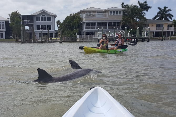 Guided Kayak Eco Tour - Bunche Beach - Cancellation and Refund Policy