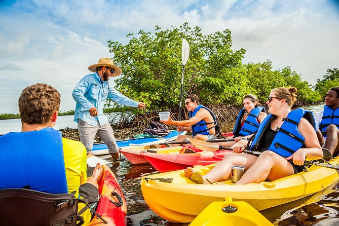 Guided Kayak Mangrove Ecotour in Rookery Bay Reserve, Naples - Getting There