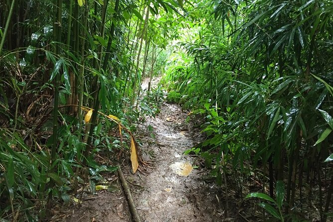 Hike Trail to Waterfall & Nature Walk - Cancellation Policy