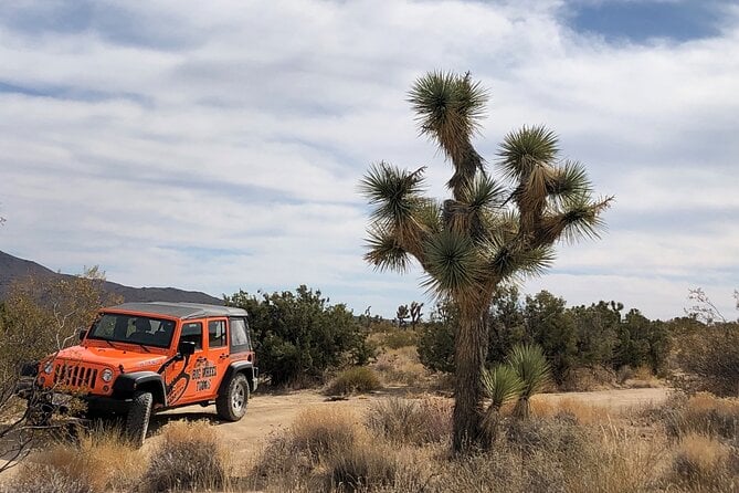 Joshua Tree National Park Offroad Tour - Important Notes
