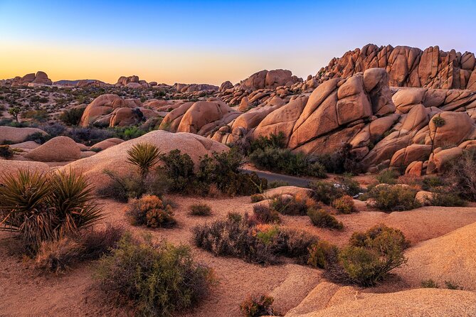 Joshua Tree National Park Self-Driving Audio Tour - Cancellation and Refund Policy