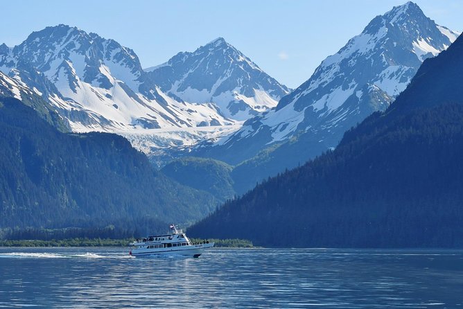 Kenai Fjords and Resurrection Bay Half-Day Wildlife Cruise - Planning Your Alaskan Wildlife Cruise