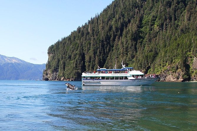 Kenai Fjords National Park Cruise From Seward - Customer Reviews