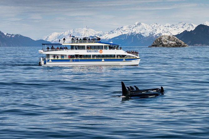 Kenai Fjords National Park Glacier & Wildlife Cruise - Onboard Experiences