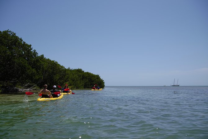 Key West Schooner Backcountry Eco-Tour: Sail, Snorkel & Kayak - Additional Tour Information