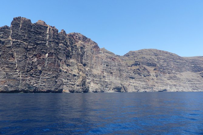 Los Gigantes Whale Watching Charter by Sail Boat - Meeting Point