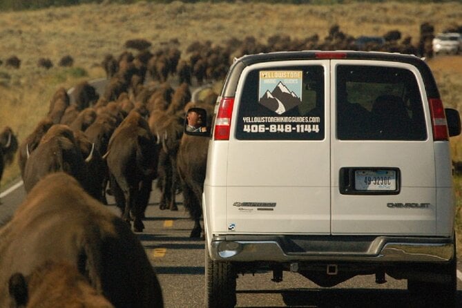 Lower Loop Van Tour From West Yellowstone: Grand Prismatic and Old Faithful - Cancellation Policy