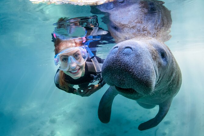 Manatee Adventure, Airboat, Lunch, Wildlife Park With Transport - Cancellation Policy