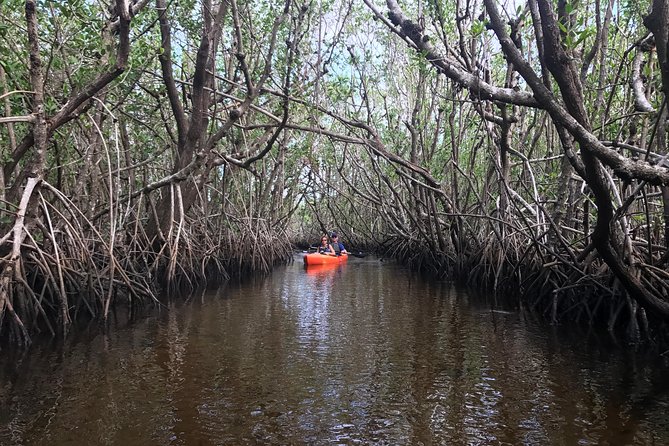 Manatees and Mangrove Tunnels Small Group Kayak Tour - Cancellation Policy