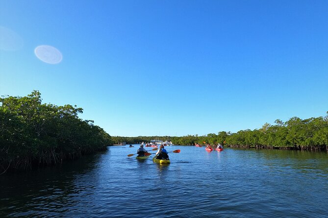 Mangrove Tunnel Kayak Adventure in Key Largo - Personalized Experience