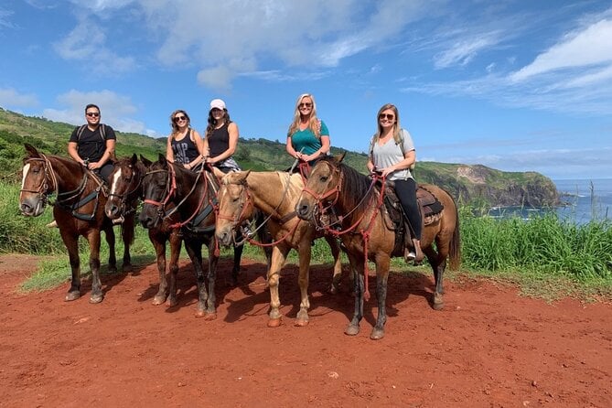 Maui Horseback-Riding Tour - Suitable for All Riders