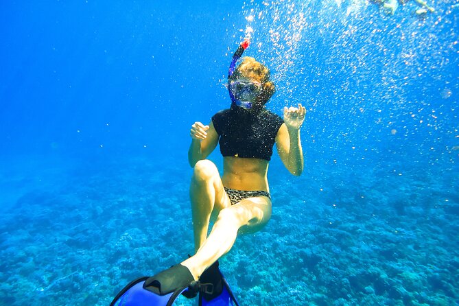 Maui Snorkel & Slide - Snorkeling Locations and Experiences