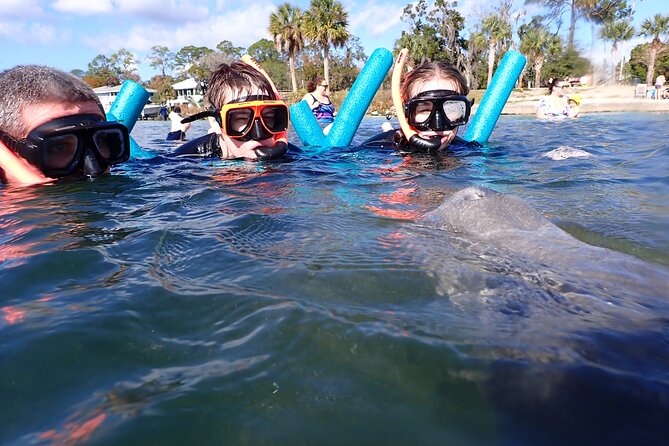 Most Popular 3hr Manatee Swim Tour + In-Water Guide! - Photo Packages