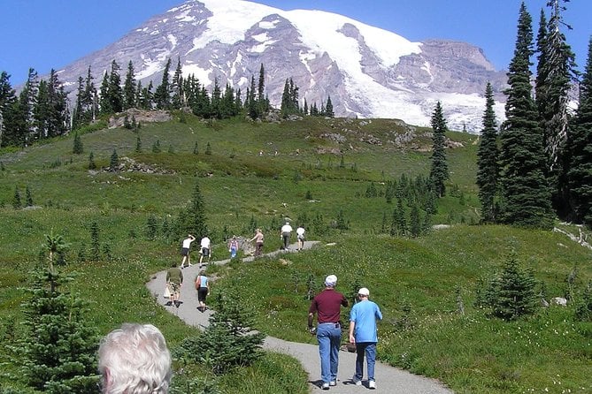 Mt. Rainier Day Tour From Seattle - Recommended Attire and Preparation