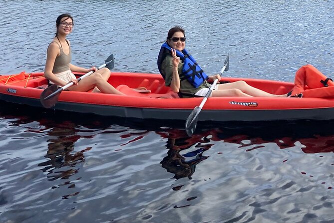 New Smyrna Dolphin and Manatee Kayak and SUP Adventure Tour - Guided Experiences and Learning