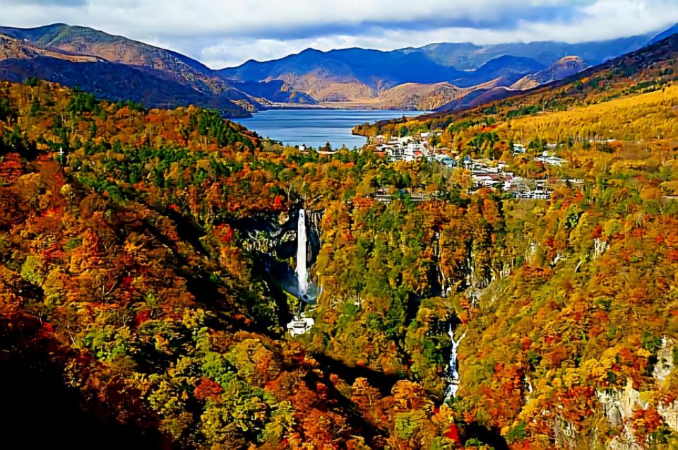 Nikko Full-Day Private Sightseeing Day Trip - Accessibility and Audio Guide
