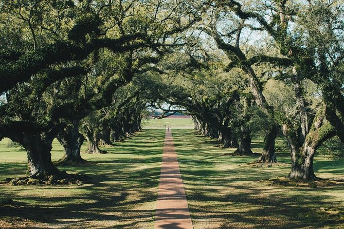 Oak Alley Plantation and Small Airboat Tour From New Orleans - Important Details to Note