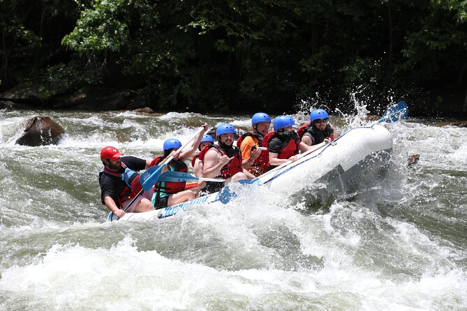 Ocoee River Middle Whitewater Rafting Trip (Most Popular Tour) - Reviews and Accolades