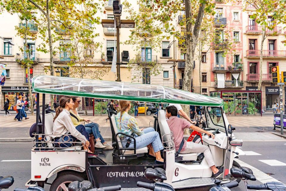 Paris: City Tour by Private Eco Tuk-Tuk - Suitability and Accessibility