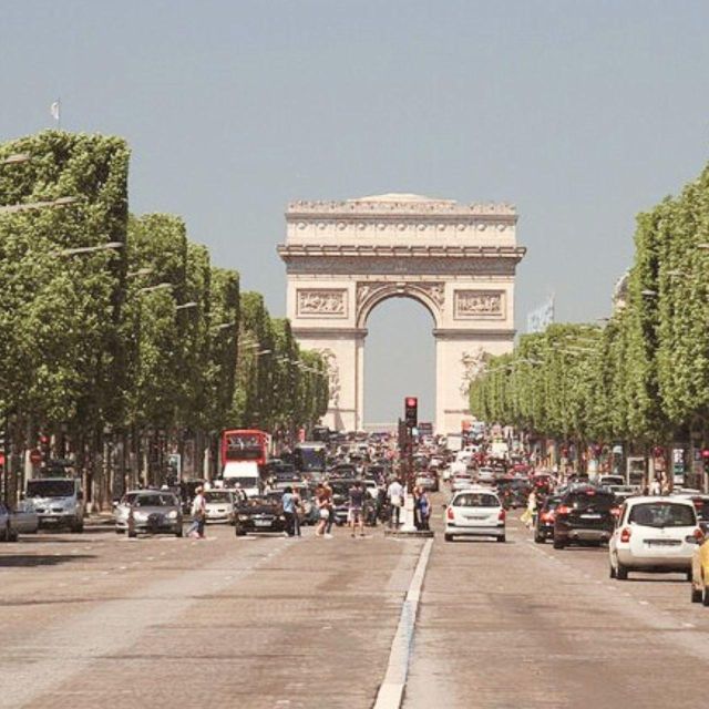 Paris: Half-Day Private City Tour - Visiting the Grand Palais