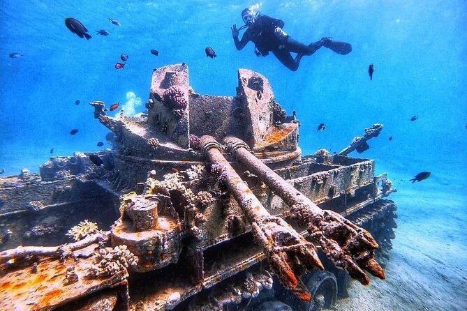 Private Diving Experience in The Heart of Red Sea in Aqaba - Flexible Cancellation Policy