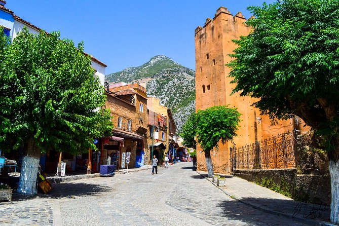 Private Walking Tour of Chefchaouen (The Blue City) - Customer Reviews and Ratings
