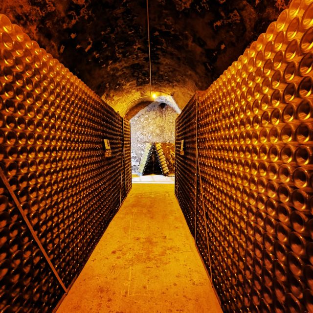 Reims/Epernay: Private Moet & Chandon Winery Tour & Tastings - Inclusions and Exclusions
