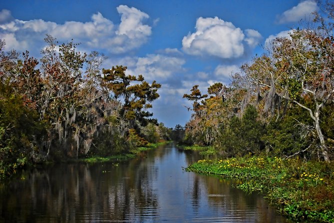 Small-Group Bayou Airboat Ride With Transport From New Orleans - Wildlife and Scenery
