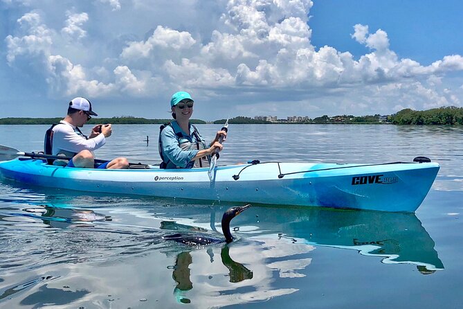 Small Group Kayak Tour of the Shell Key Preserve - Customer Reviews and Feedback Highlights