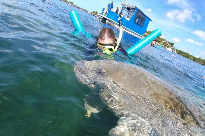 Small Group Manatee Snorkel Tour With In-Water Guide and Photographer - Booking and Cancellation